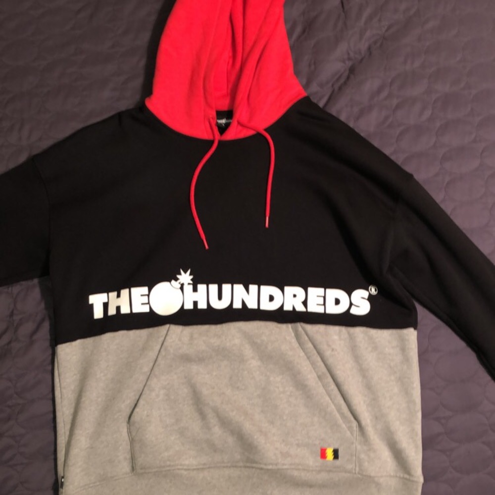 The Hundreds Sierra pullover hoodie